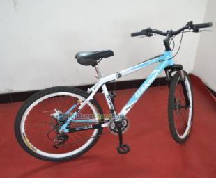 供應26式自行車價格_供應26式自行車廠家_世界工廠網(wǎng)產(chǎn)品信息庫