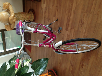 【天津市濮琪自行車】?jī)r(jià)格,廠家,圖片,自行車,天津市濮琪自行車-