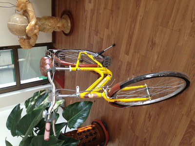 【天津市濮琪自行車】?jī)r(jià)格,廠家,圖片,自行車,天津市濮琪自行車-