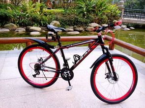 自行車尺寸解讀 XS、S、M、L 的意義及其在電動自行車制造中的應(yīng)用